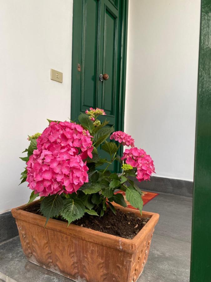 Apartamento Enjoy Península Sorrentina